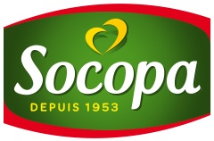 Socopa